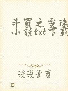 斗罗之灵珠神剑小说txt下载