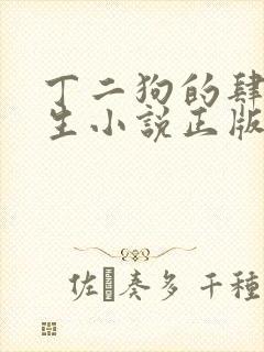丁二狗的肆意人生小说正版