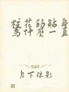 校花的贴身高手为什么一直更新