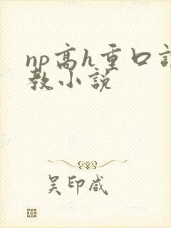 np高h重口调教小说