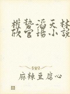 权势滔天林峰宁欣官场小说免费阅读