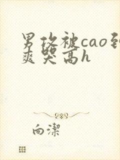 男攻被cao到爽哭高h