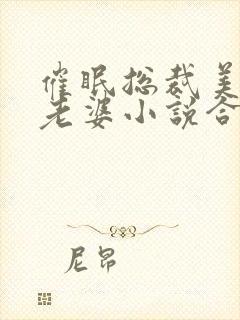 催眠总裁美母变老婆小说合法