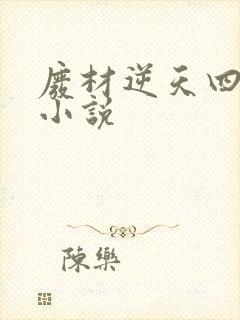 废材逆天四小姐小说
