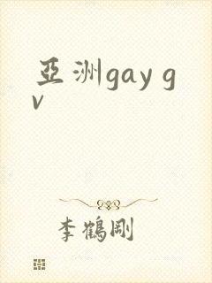 亚洲gay gv封面