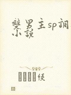 双男主sp调教小说封面