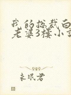 我的总裁白富美老婆3楼小说免费完整版