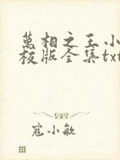 万相之王小说精校版全集txt