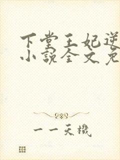 下堂王妃逆袭记小说全文免费阅读