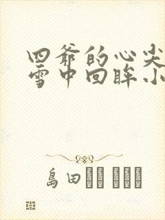 四爷的心尖宠妃雪中回眸小说
