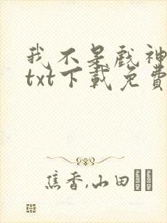 我不是戏神小说txt下载免费