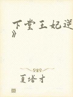 下堂王妃逆袭记》