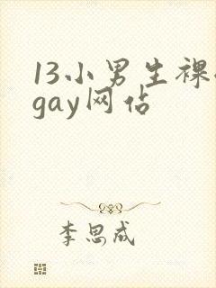 13小男生裸体gay网站封面