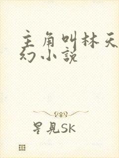 主角叫林天的玄幻小说封面