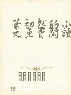 萧初然的小说全文免费阅读封面