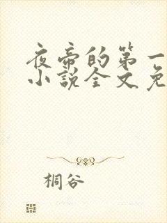 夜帝的第一狂妃小说全文免费阅读