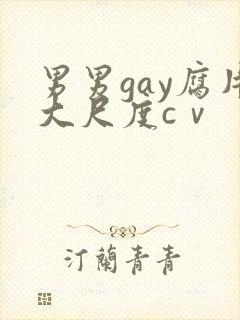 男男gay腐片大尺度cⅴ
