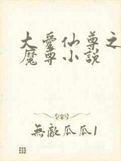 大爱仙尊之邪淫魔尊小说