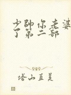 少帅你老婆又跑了第二部