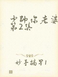 少帅你老婆又跑第2集
