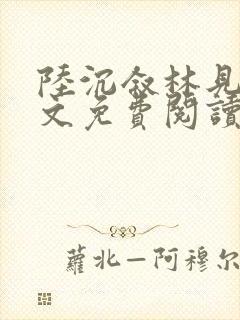 陆沉叙林见晚全文免费阅读最新章节