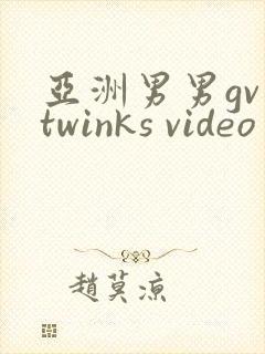 亚洲男男gv twinks video封面
