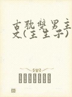 古耽双男主生子文(主生子)