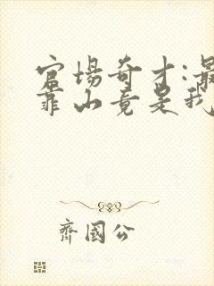 官场奇才:最强靠山竟是我自己李霖全文封面