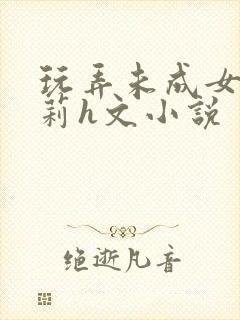 玩弄未成女小箩莉h文小说封面