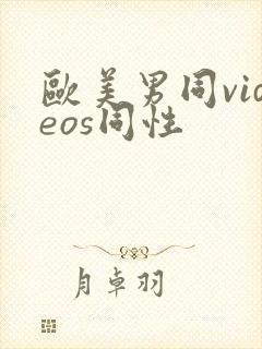 欧美男同videos同性