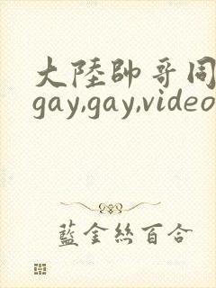 大陆帅哥同性恋gay,gay,videos