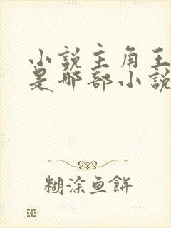 小说主角王斌 是哪部小说