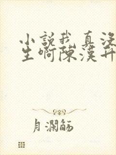 小说我真没想重生啊陈汉升阅读