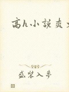 高h小说爽文封面