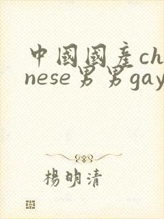 中国国产chinese男男gay gay网站