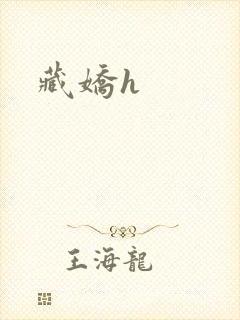 藏娇h封面