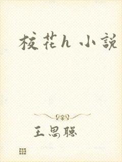 校花h 小说封面