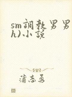 sm调教男男(h)小说封面