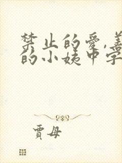 禁止的爱,善良的小姨中字未删减