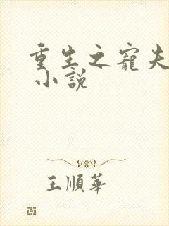 重生之宠夫之路 小说