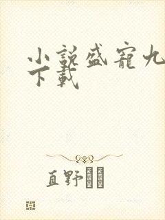 小说盛宠九皇妃下载