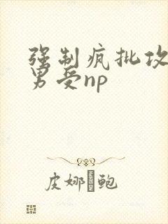 强制疯批攻虐直男受np