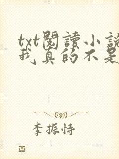 txt阅读小说我真的不是气运之子封面