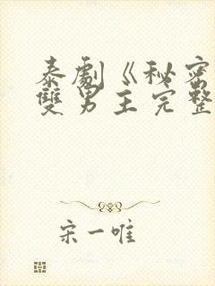 泰剧《秘密爱》双男主完整版
