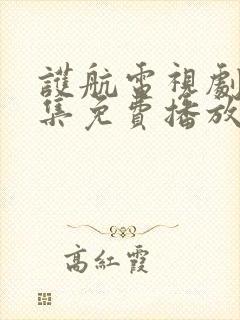 护航电视剧40集免费播放