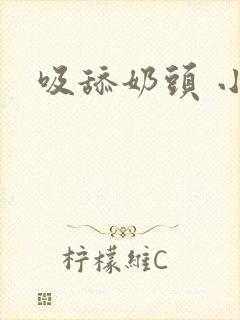 吸舔奶头 小说