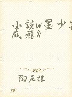 小说w墨少宠妻成瘾》