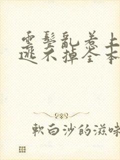 云鬓乱惹上权臣逃不掉全本阅读