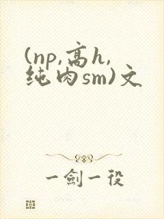 (np,高h,纯肉sm)文