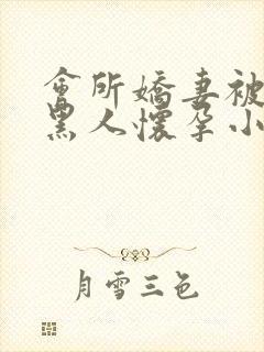 会所娇妻被多个黑人怀孕小说封面